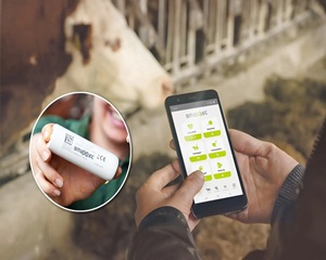 ams OSRAM, 초소형 온도 센서로 소 위장의 신호 감지한다